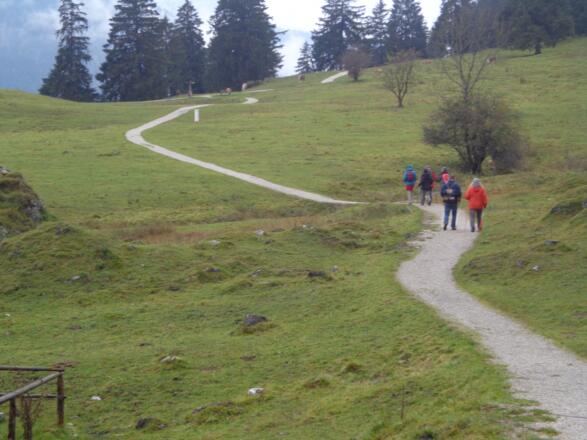 Philosophenweg im Sommer