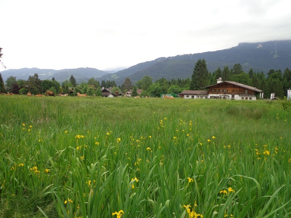 Almhütte