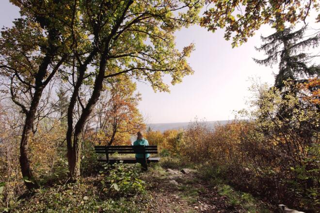Kordigastausblick (P. Wittig)