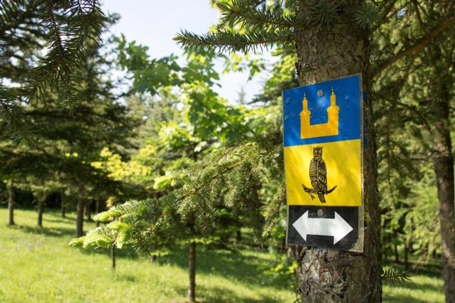 Schmale Pfade führen über Wiesen und durch Wälder (A. Lochner)