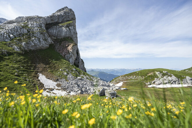 Schweizer Tor