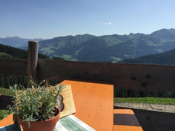 Panoramablick ins Kleinwalsertal von der Terrasse aus