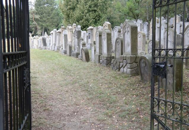 Blick in den Jüdischen Friedhof (J. Thiem)