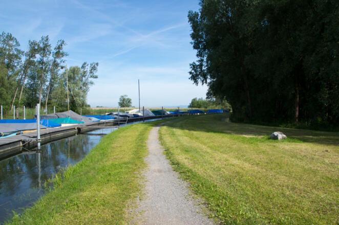 Weg auf dem Polderdamm zum Spitz