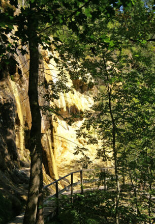 Quelltuff in Lingenau