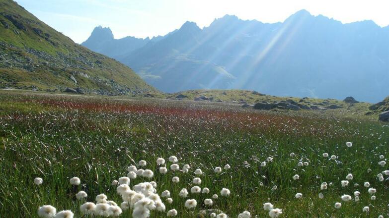 LandschaftI