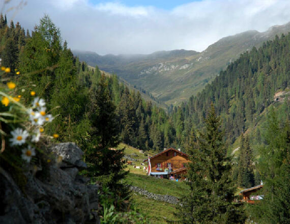 Steineralm