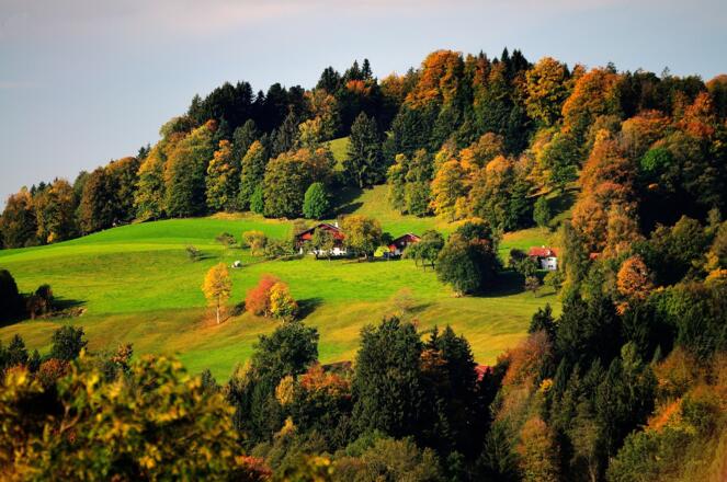Aussicht auf Höfe in Wackersberg