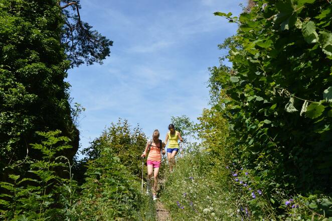 FS-Trailissimo ~ schmale Pfade in der Fränkischen Schweiz