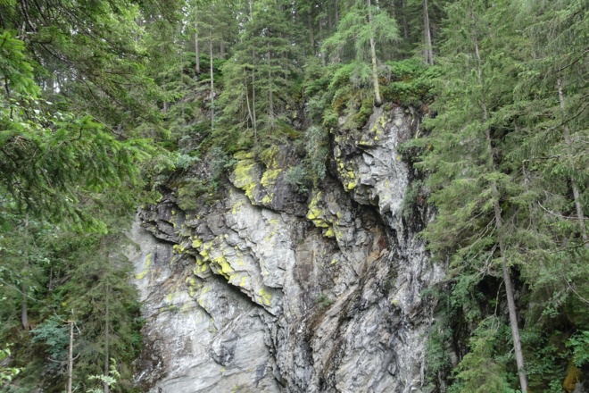 Leuchtflechten am Wasserfall
