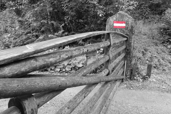 Auf dem Almweg ins Untersulzbachtal