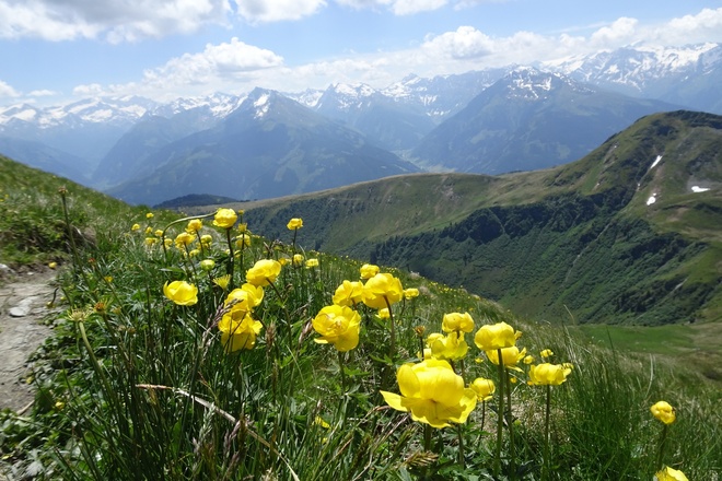 Ausblick vom Gipfel des Gaisstein