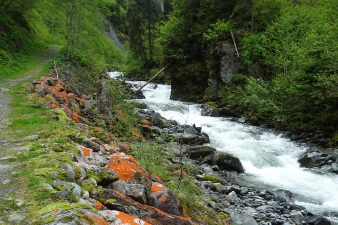 Bachlehrweg am Bach entlang