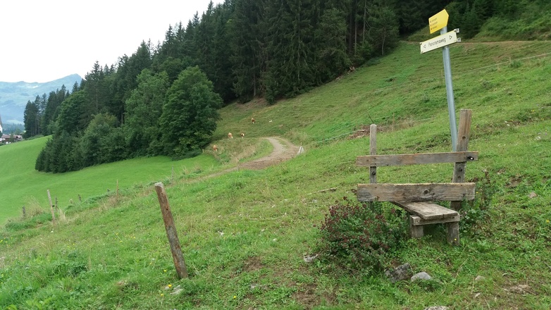 Hier links auf Lehrberg zu, wenn wir zur Kapelle hinunter wollen..