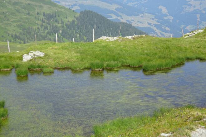 Erster toller Ausblick bei der Sintersbachscharte