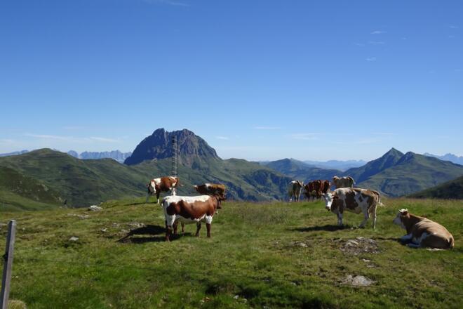 Blick Richgung Gr. Rettenstein