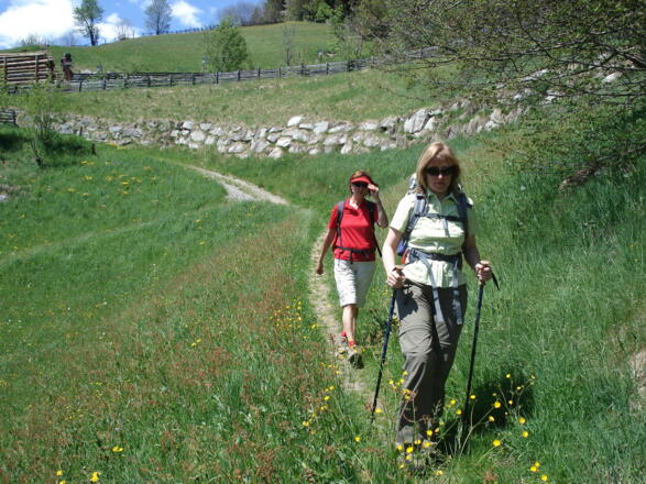 Vom Neuhaushof ins Tal
