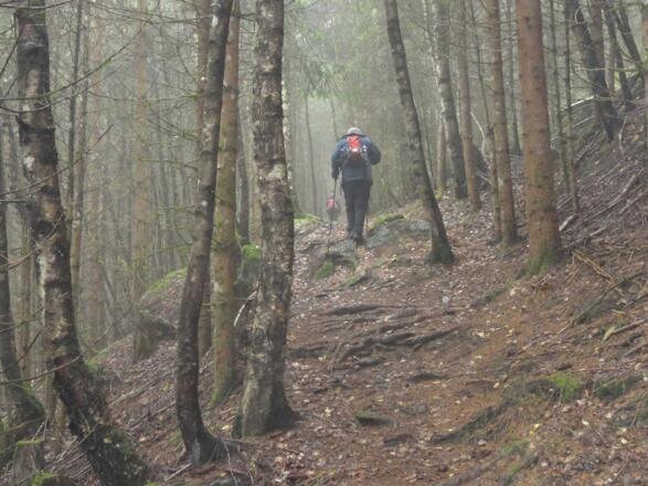 Jagasteig zum Neuhaushof
