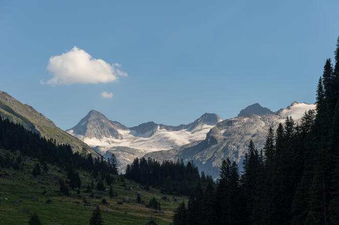 Blick zum Talschluß mit dem Gr. Geiger