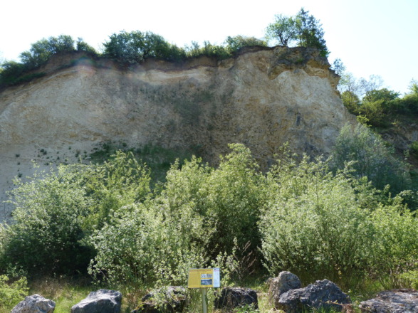 Aufschluss Geotop Lindle