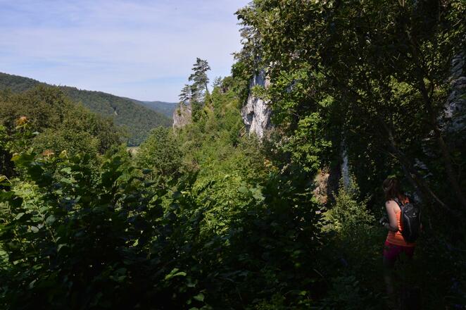 FS-Trailissimo ~ schmale Pfade in der Fränkischen Schweiz