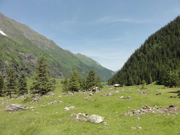 Blick talauswärts vom Hintersee