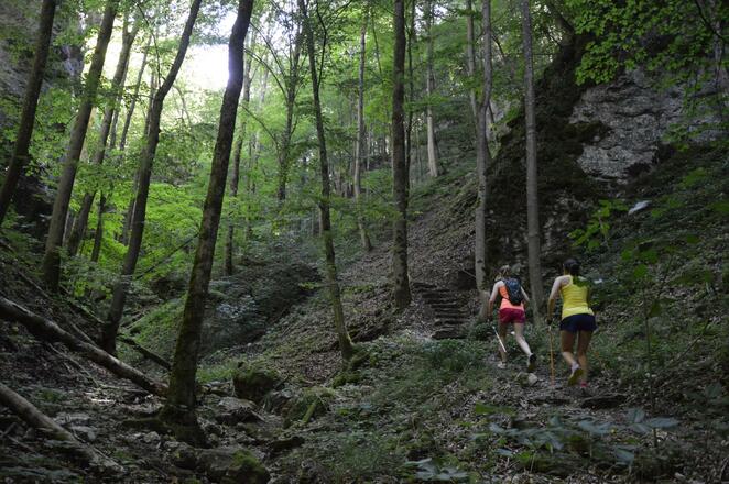 FS-Trailissimo ~ schmale Pfade in,an,durch Felsen in der Fränkischen Schweiz