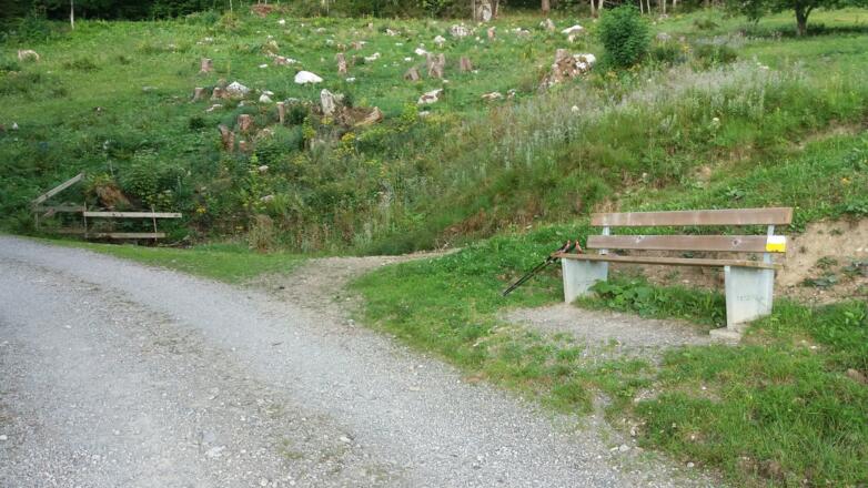 Die "Nenzinger Sitzbank" auf ca. 1145 m bietet einen schönen Rastplatz.