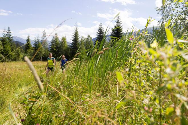 Ruheliegen Hörnlepass