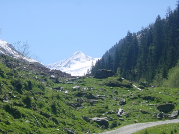 Blick taleinwärts zu den Gletschern