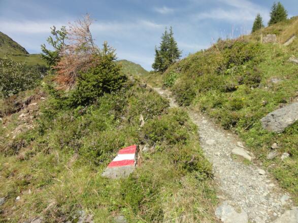 Weg zur Sintersbachscharte