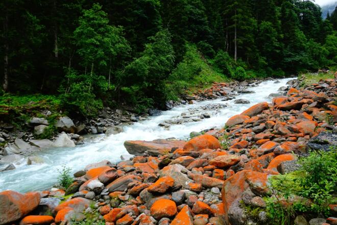 Ein Naturphänomen - die rot gefärbten Steine am Bach