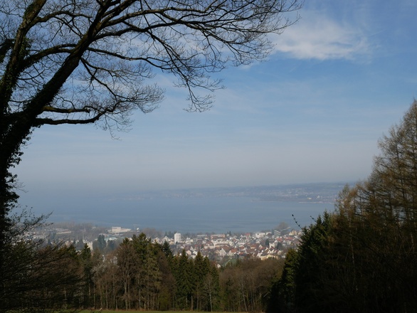 Aussicht vom Gebhardsberg auf den Bodensee