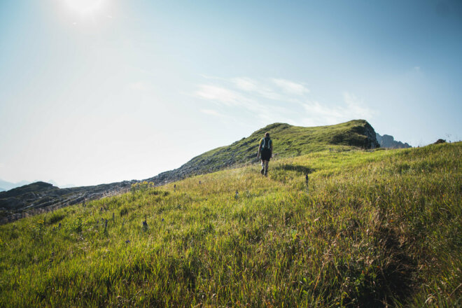 Weg Richtung Hahnenköpfle  (c) Thomas Stanglechner / Vorarlberg Tourismus
