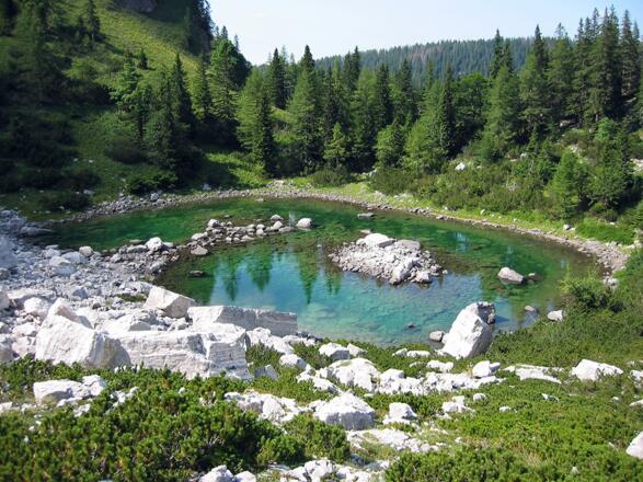 Kleiner Feichtausee © Nationalpark Kalkalpen