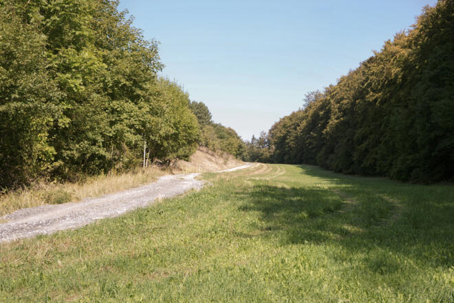 Rhön Rundweg zwischen Oberelsbach und Gingolfs