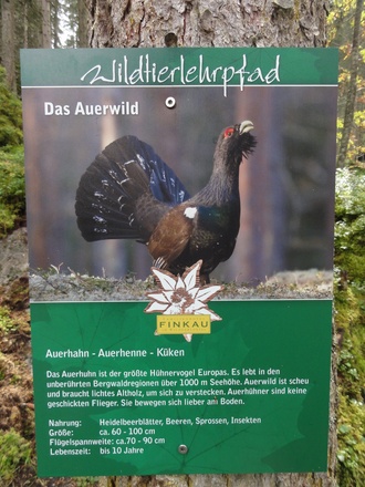 Schautafel am Wanderweg