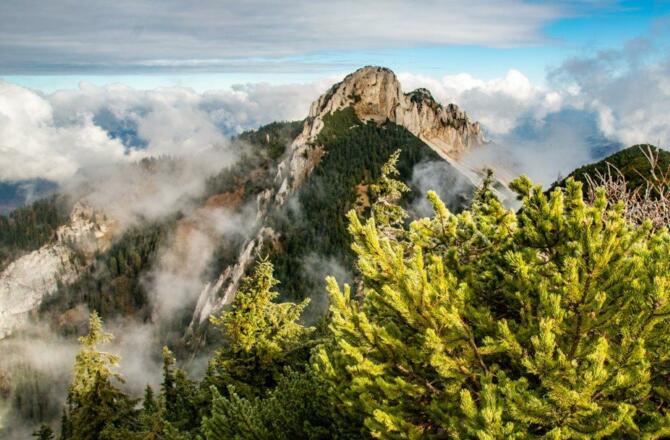 Blick vom Tanzboden auf die Stumpfmauer