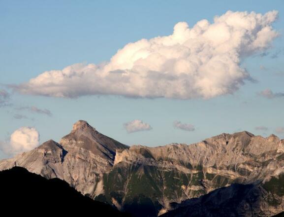 Ausblick