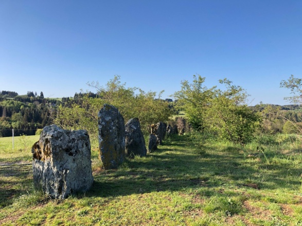 12 Apostel bei Steinbach