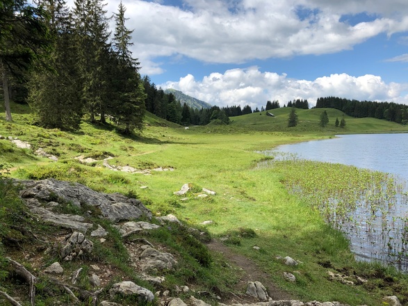 Entlang des Ufers