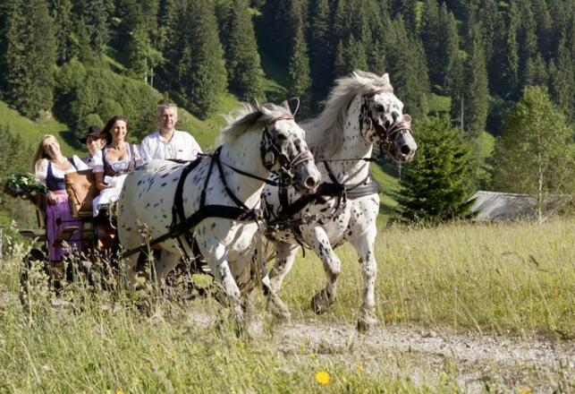 Vital - Hotel zum Ritter