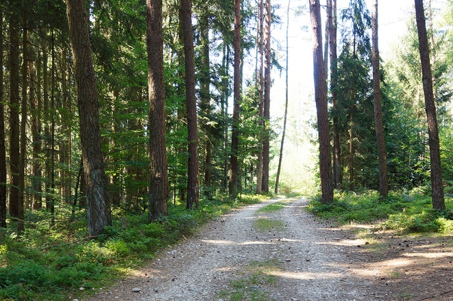 Ausschnitt aus der Runde