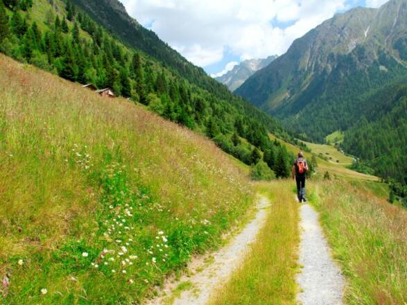 Niederthai - Horlachtal - Wandern