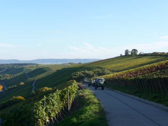 Weinberge um Dettelbach