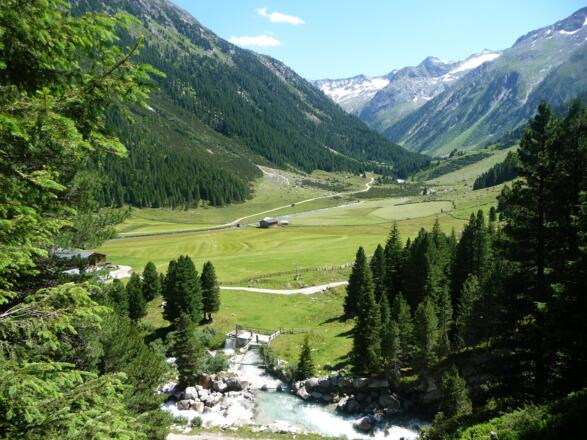 Almgebiet im Krimmler Achental