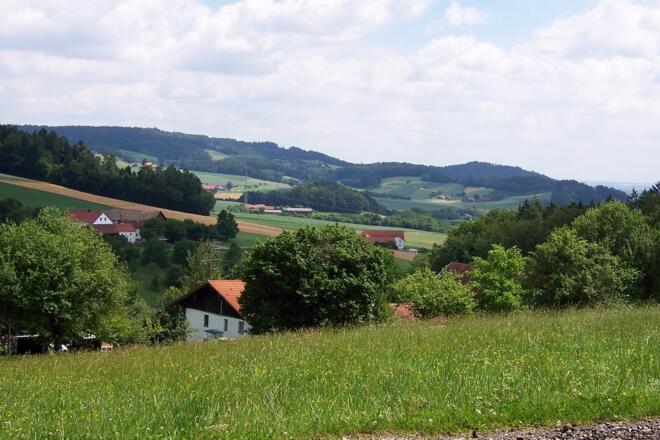 Blick vom Schellenberg