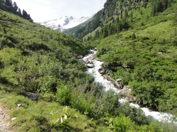 Über den Almweg zur Materialseilbahn der Zittauer Hütte