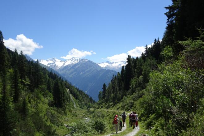 Auf dem Weg bergab zur Steineralm mit traumhaftem Blick in die Hohen Tauern