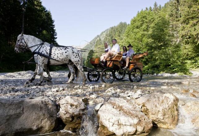 Vital - Hotel zum Ritter